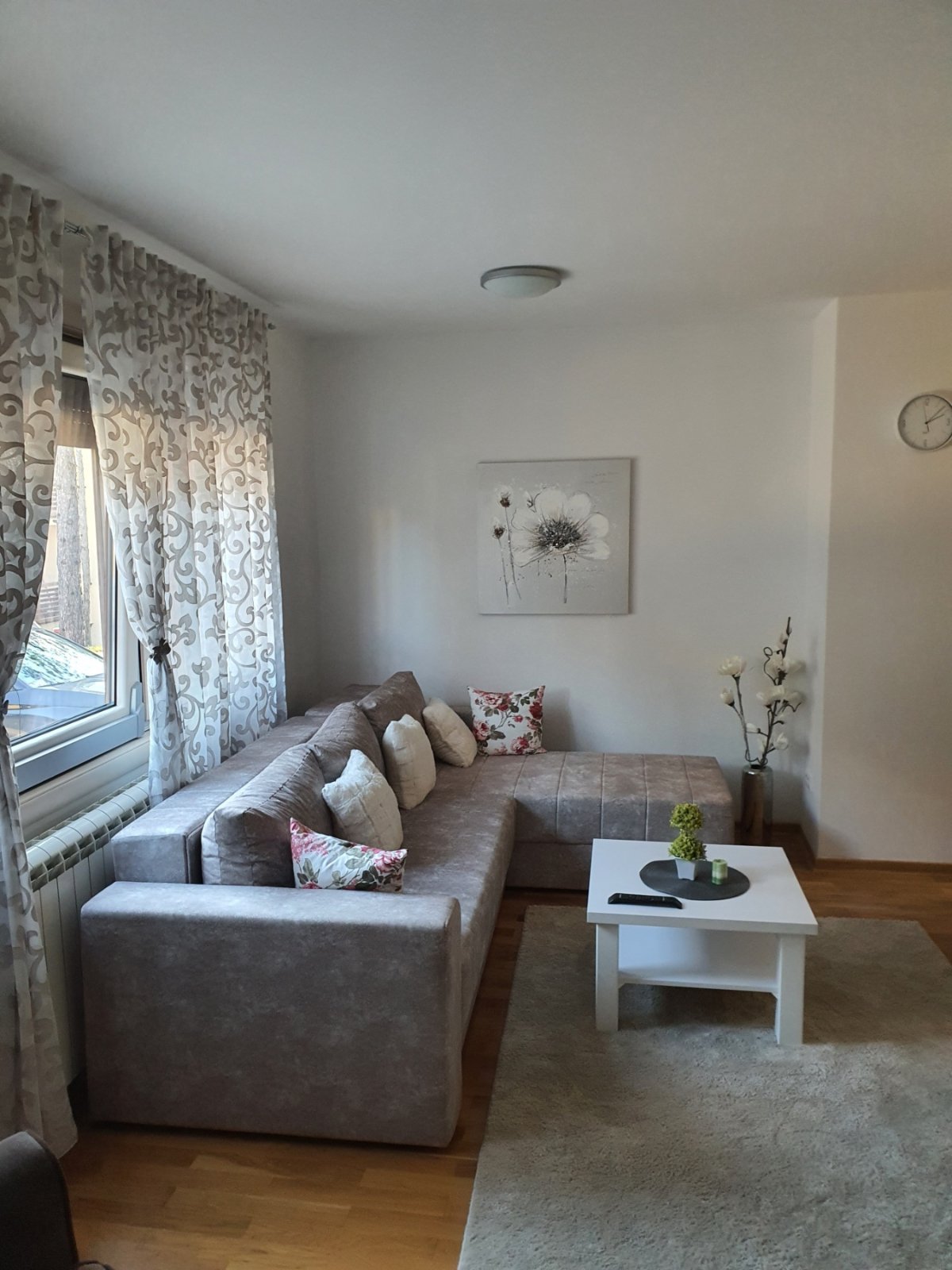 Golden Pine fotografija 13