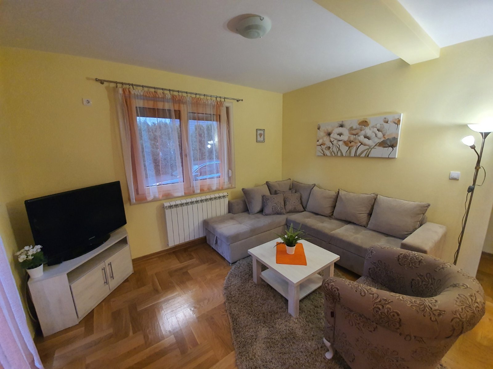 Golden Pine fotografija 18