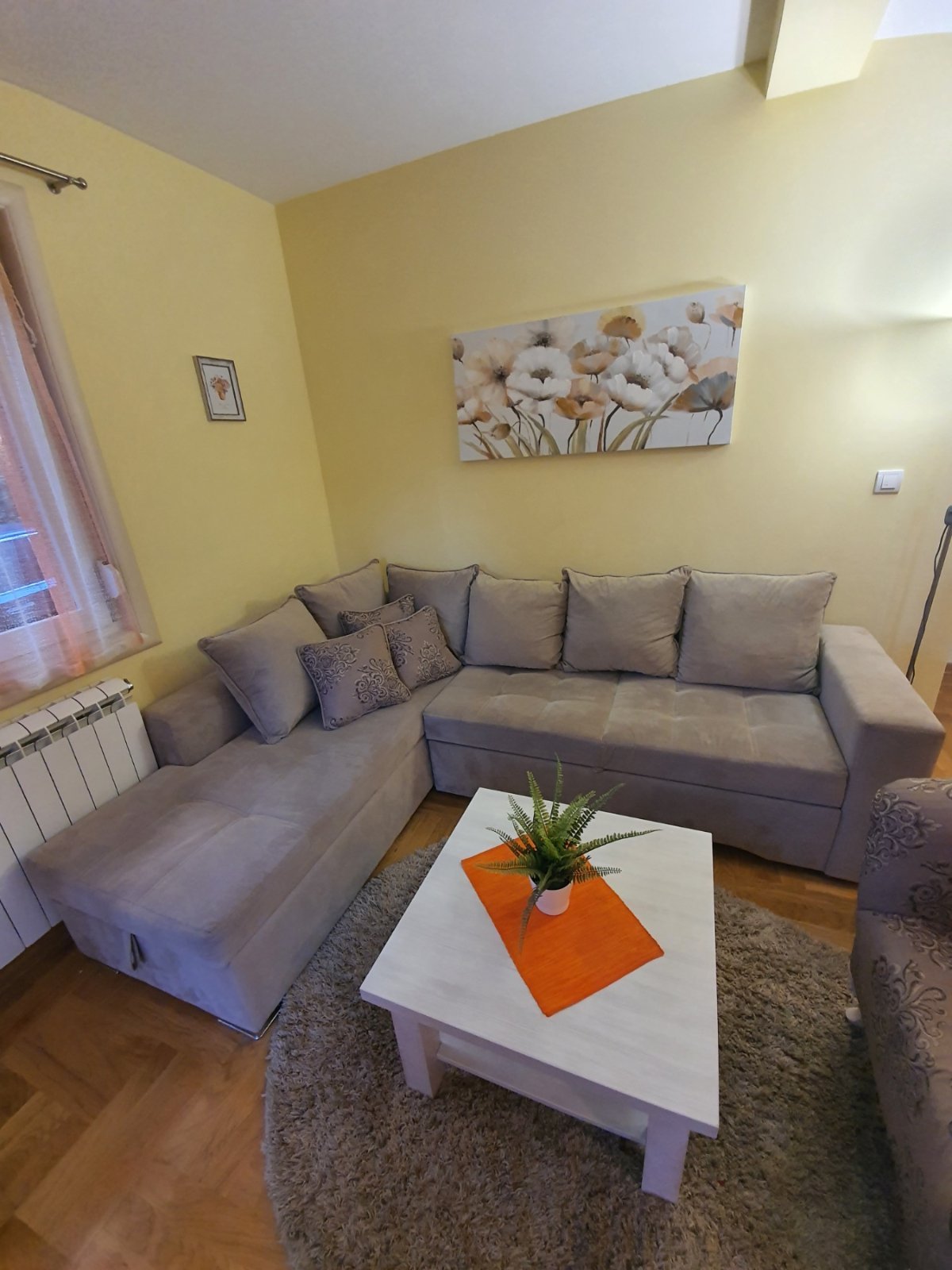 Golden Pine fotografija 20