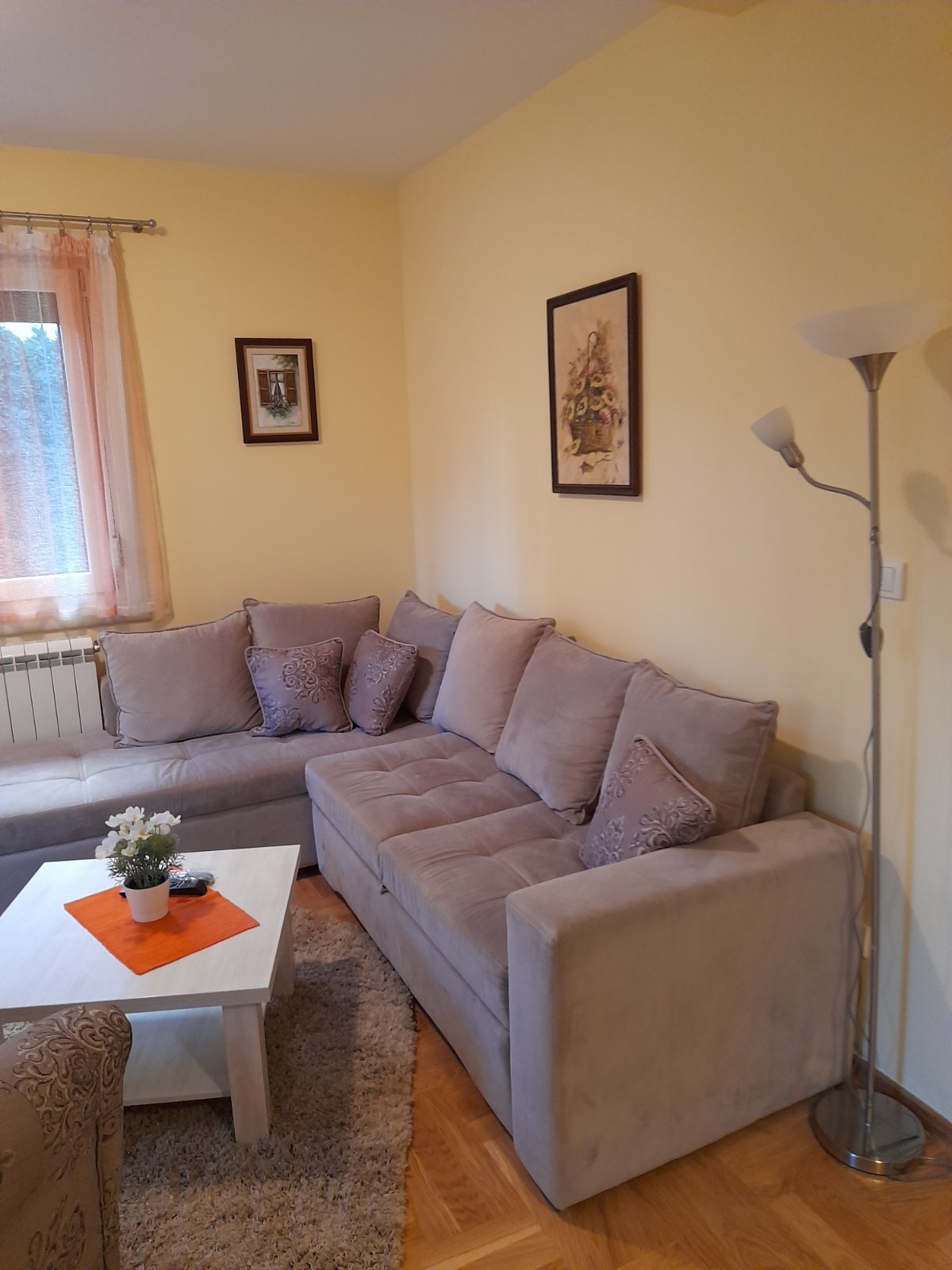 Golden Pine fotografija 21