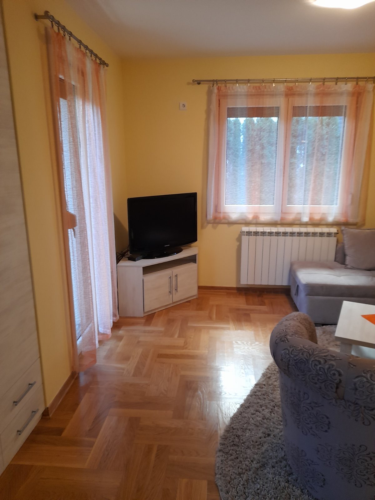 Golden Pine fotografija 27